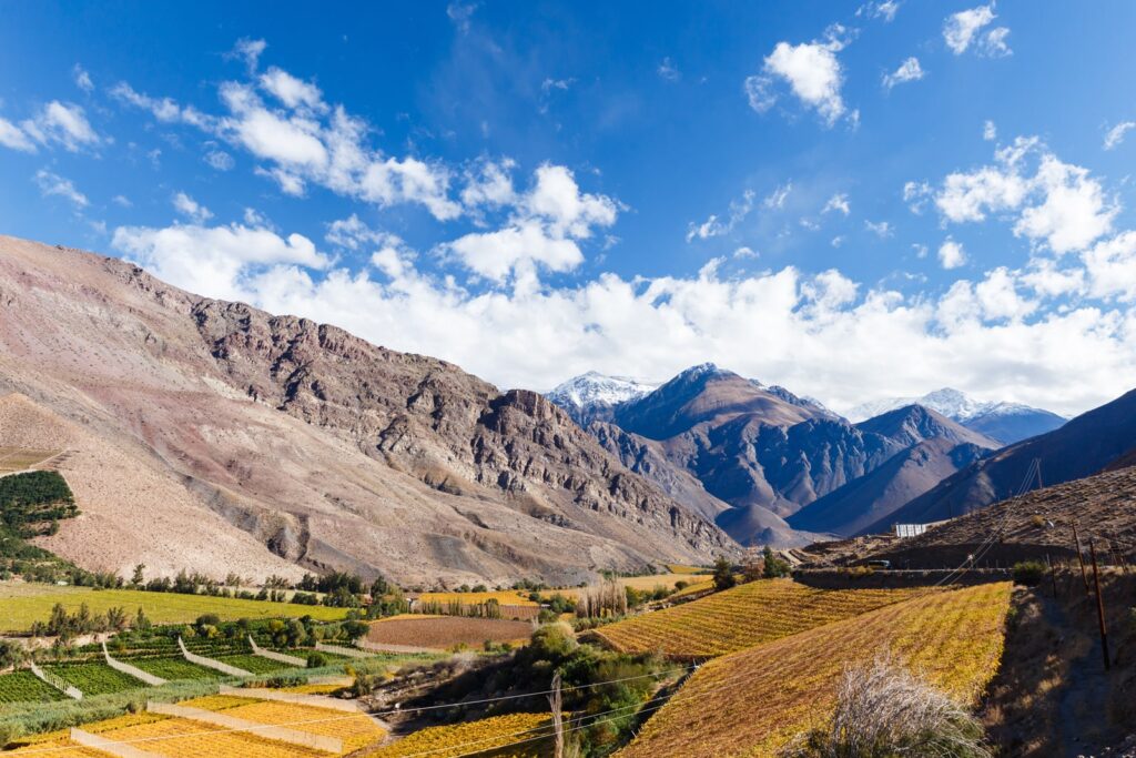 Cultivos y montañas del Valle del Elqui bajo un cielo despejado.